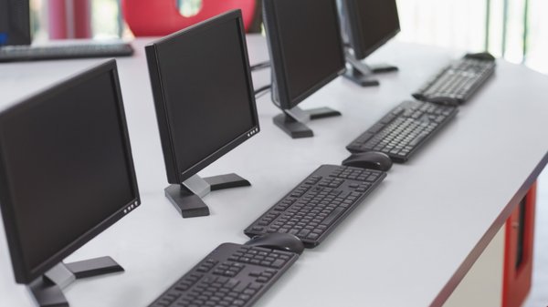 Rats et électronique : les risques pour votre infrastructure technologique !